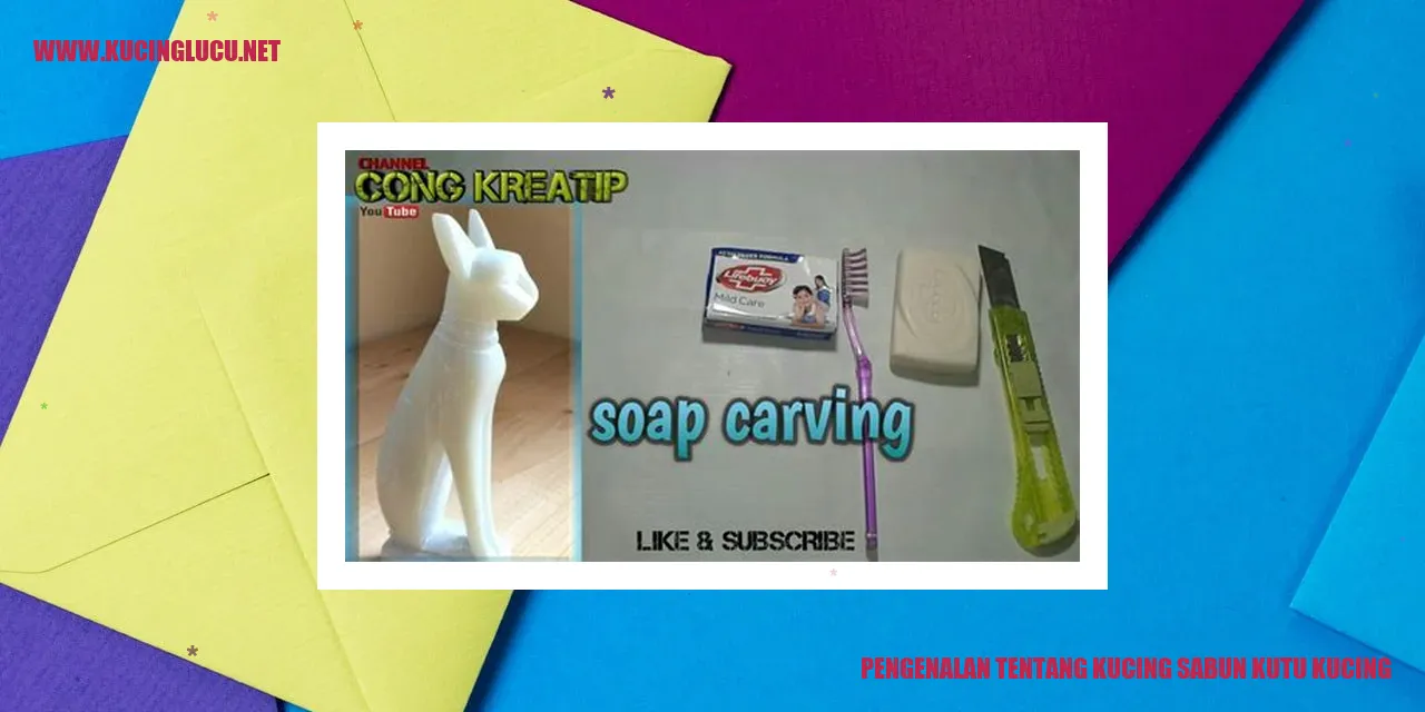 Gambar Kucing Sabun Kutu Kucing