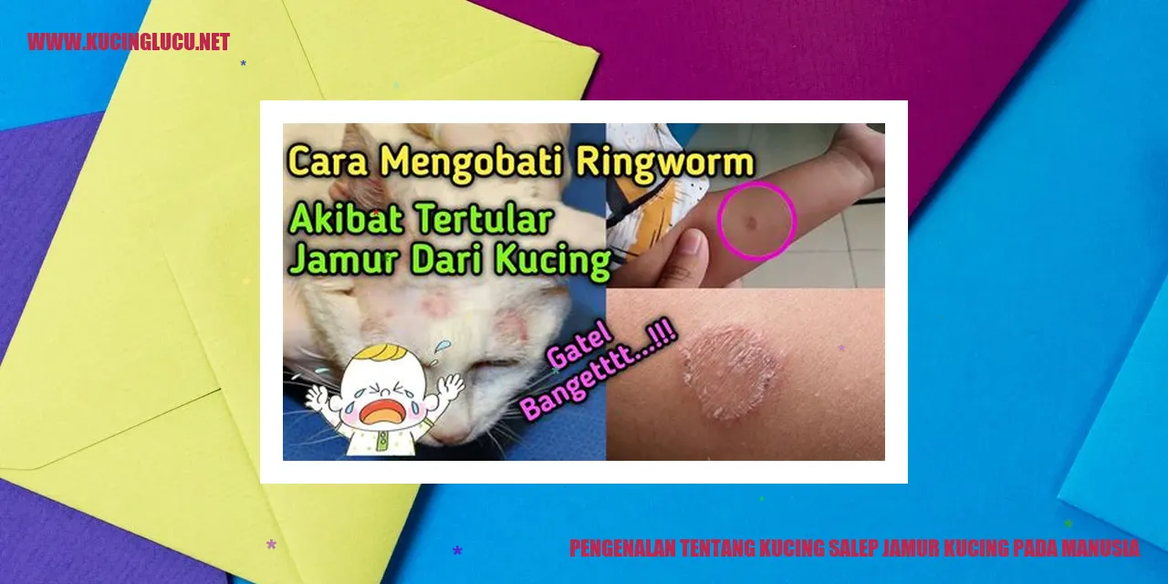 Gambar Infeksi Jamur Kucing Salep