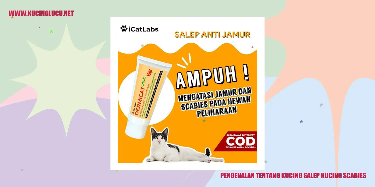 Ilustrasi Kucing Terkena Scabies