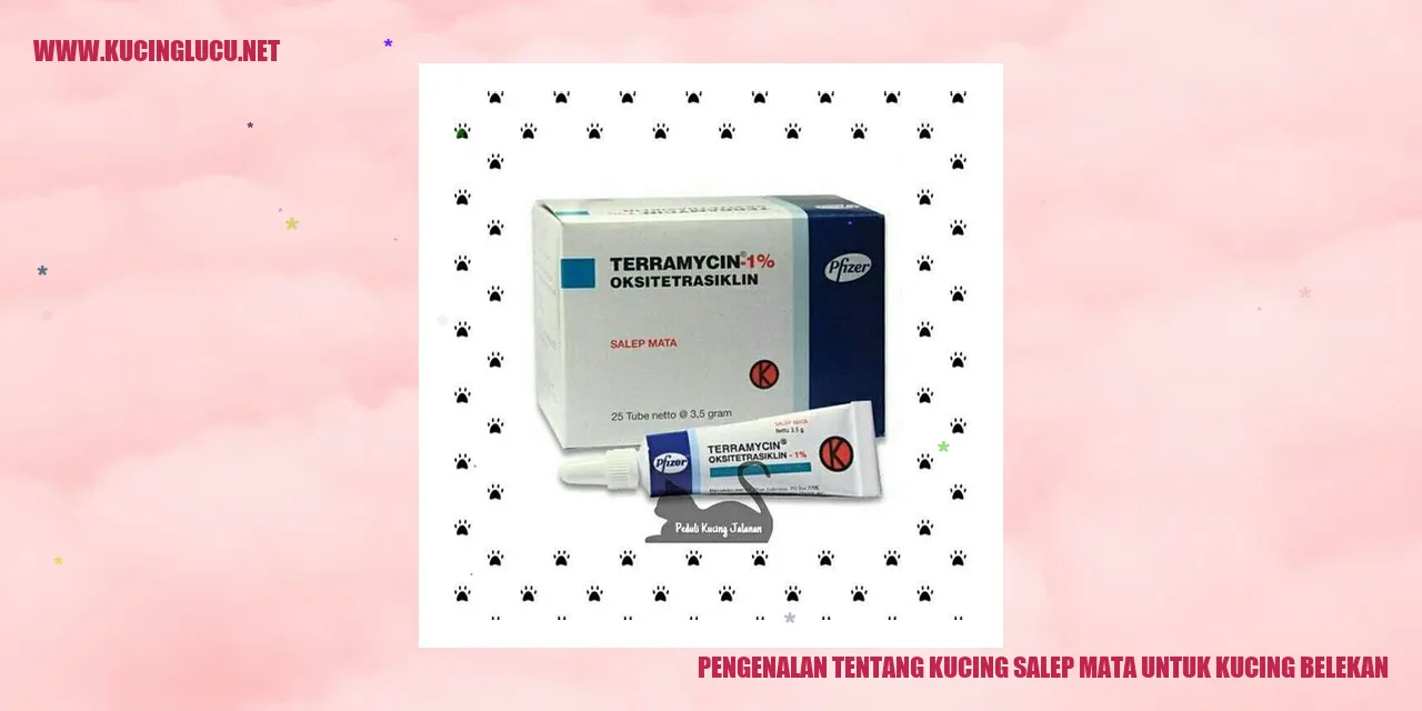 Gambar Kucing Salep Mata