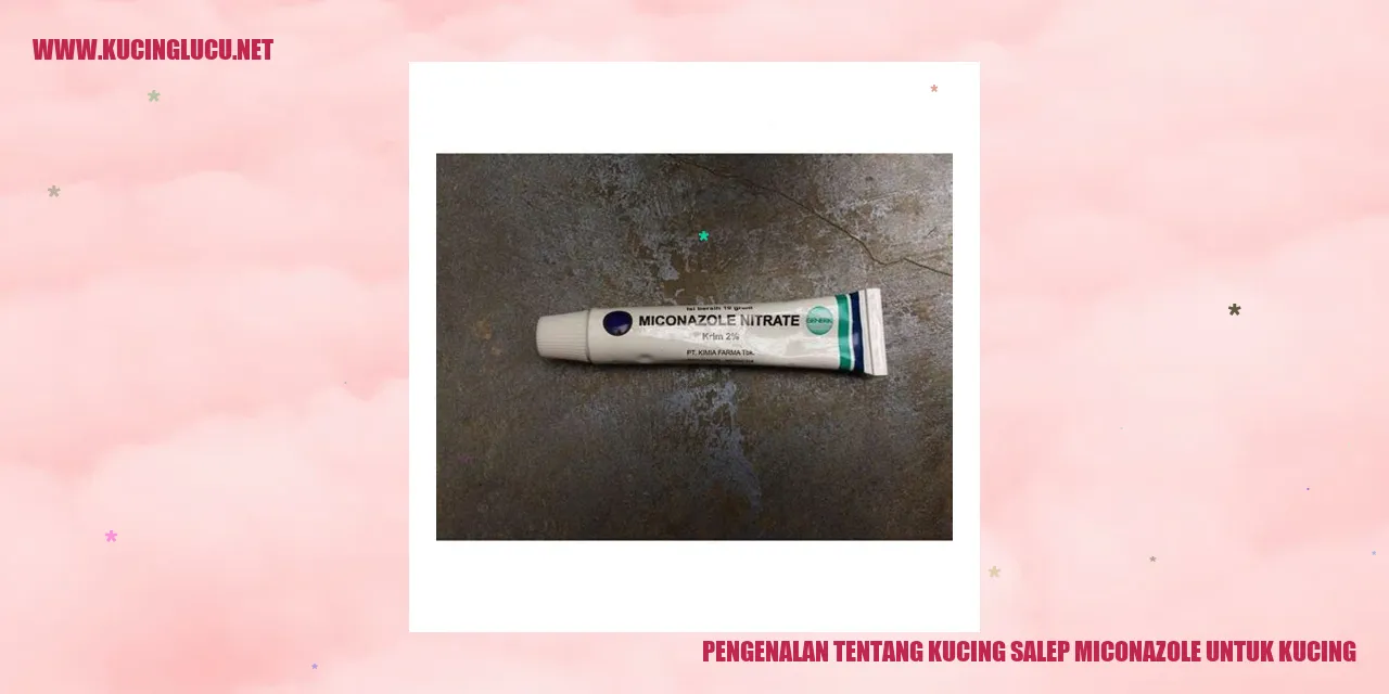 Kucing menggunakan salep Miconazole