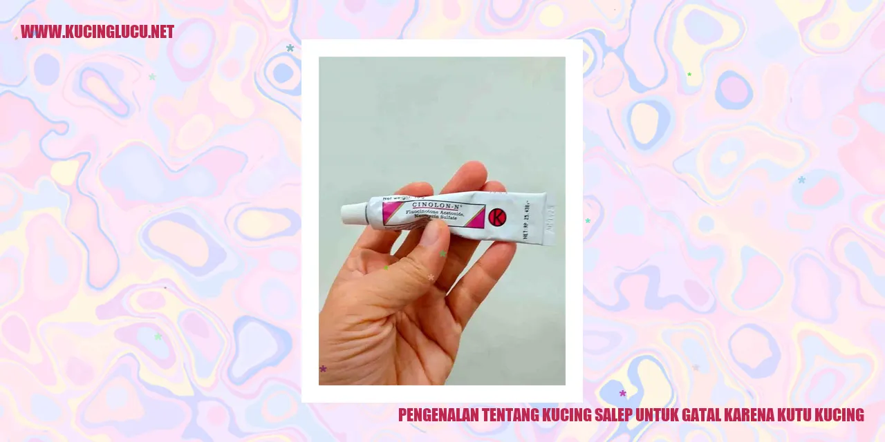 Kute salep untuk gatal karena kutu kucing