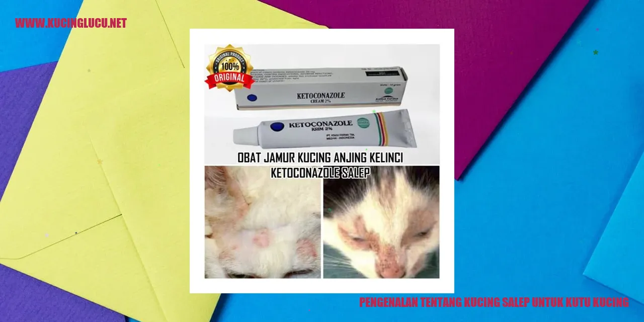 Gambar kutu kucing