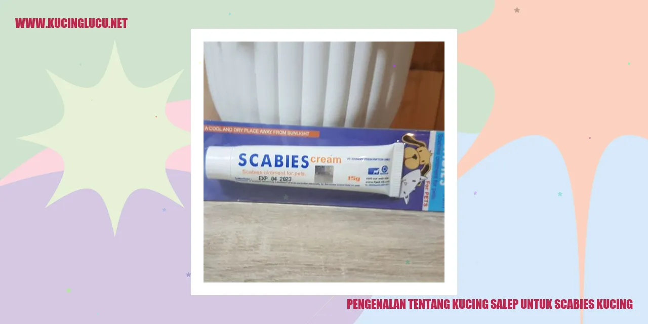 Gambar kucing dengan scabies
