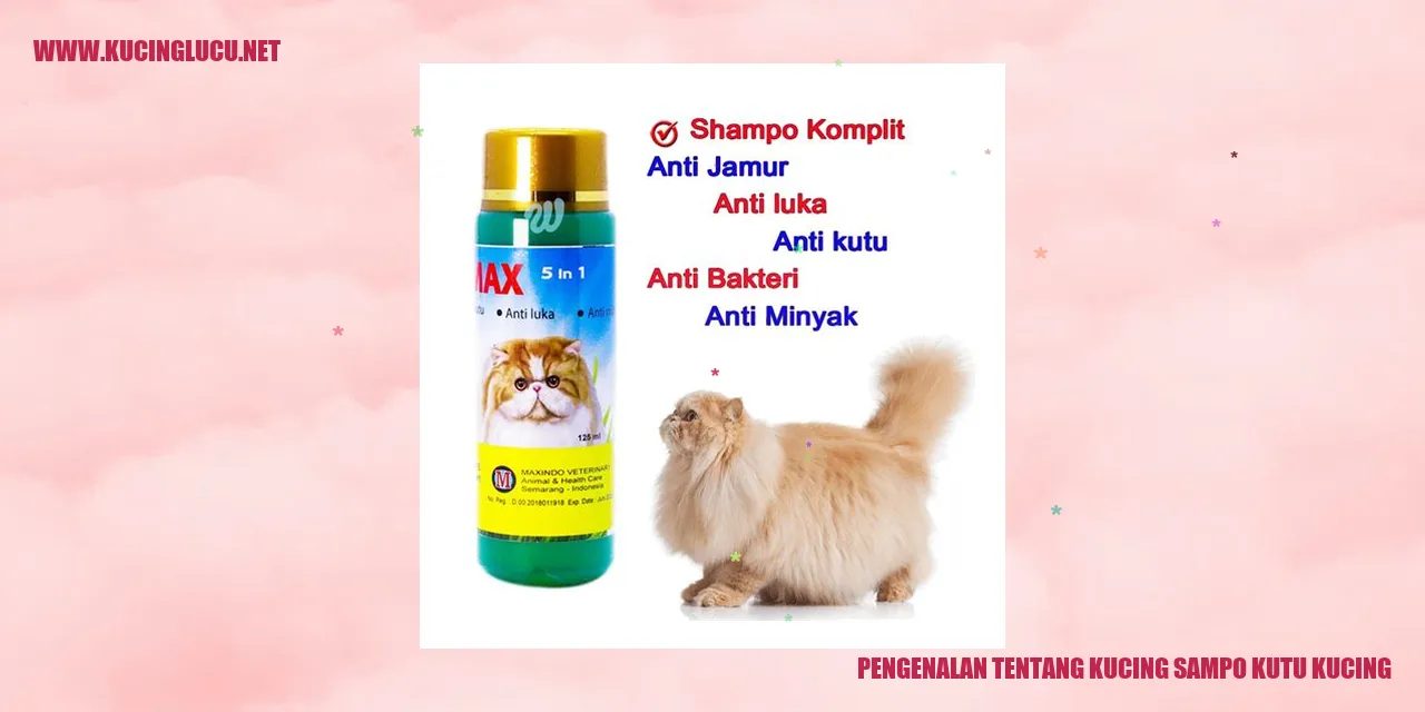 Gambar Kucing sampo kutu kucing