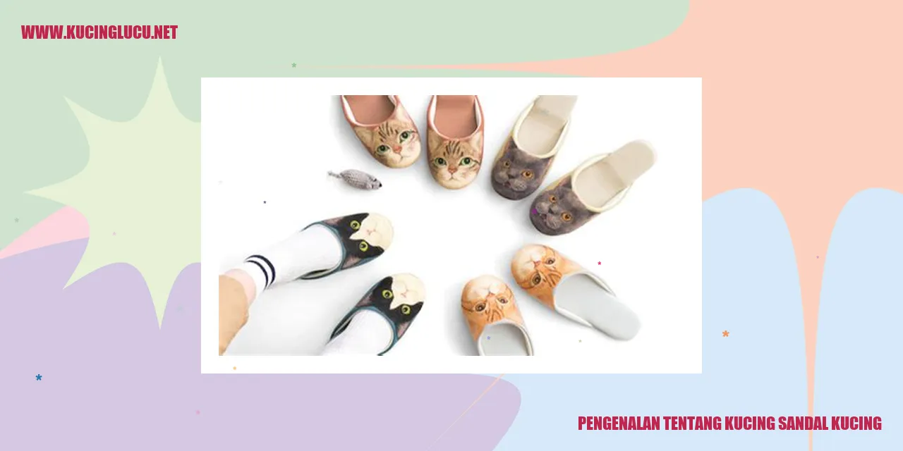 Kucing Sandal Kucing