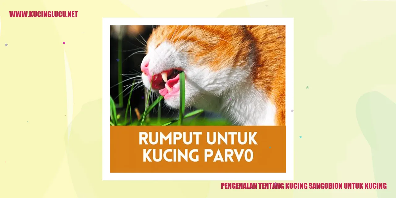 kucing sangobion untuk kucing