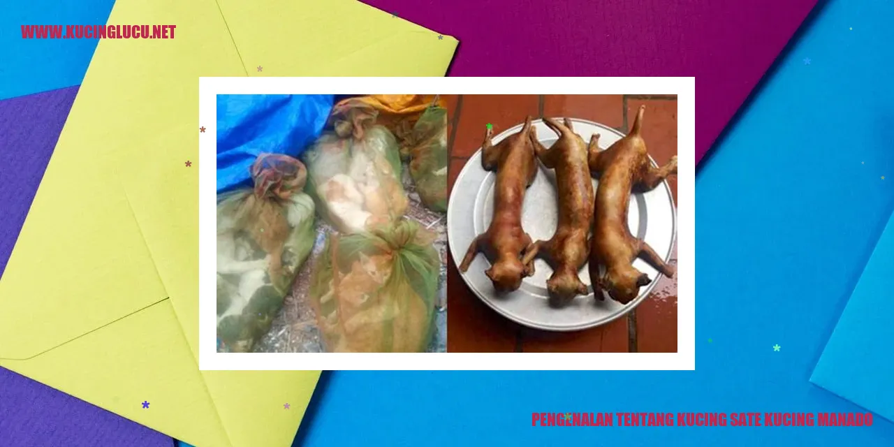 Kucing Sate Kucing Manado yang Menggemaskan