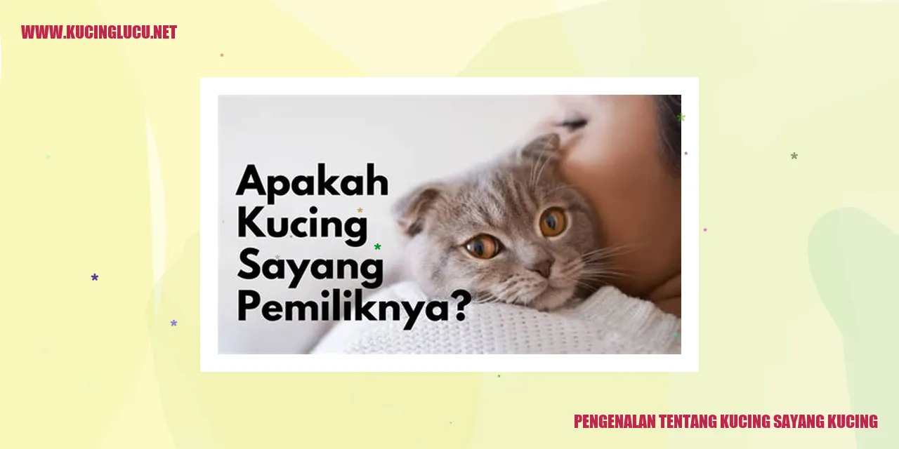 Potret Menggemaskan Kucing Sayang Kucing