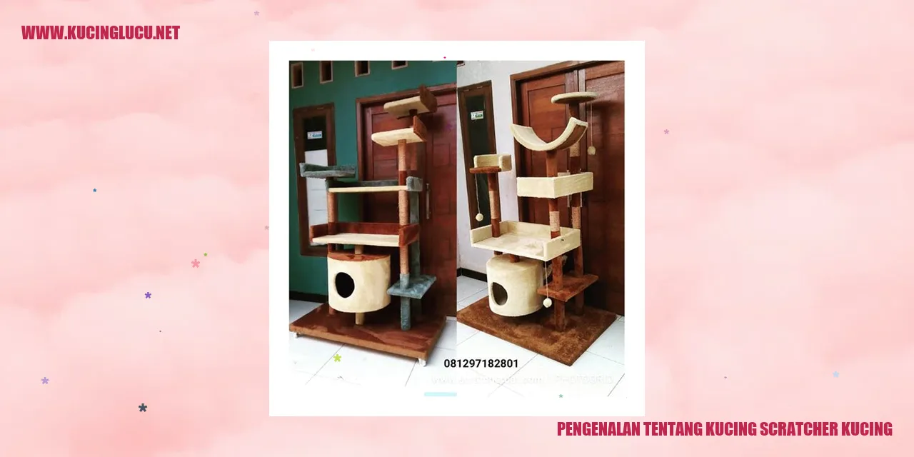 Gambar Kucing Scratcher