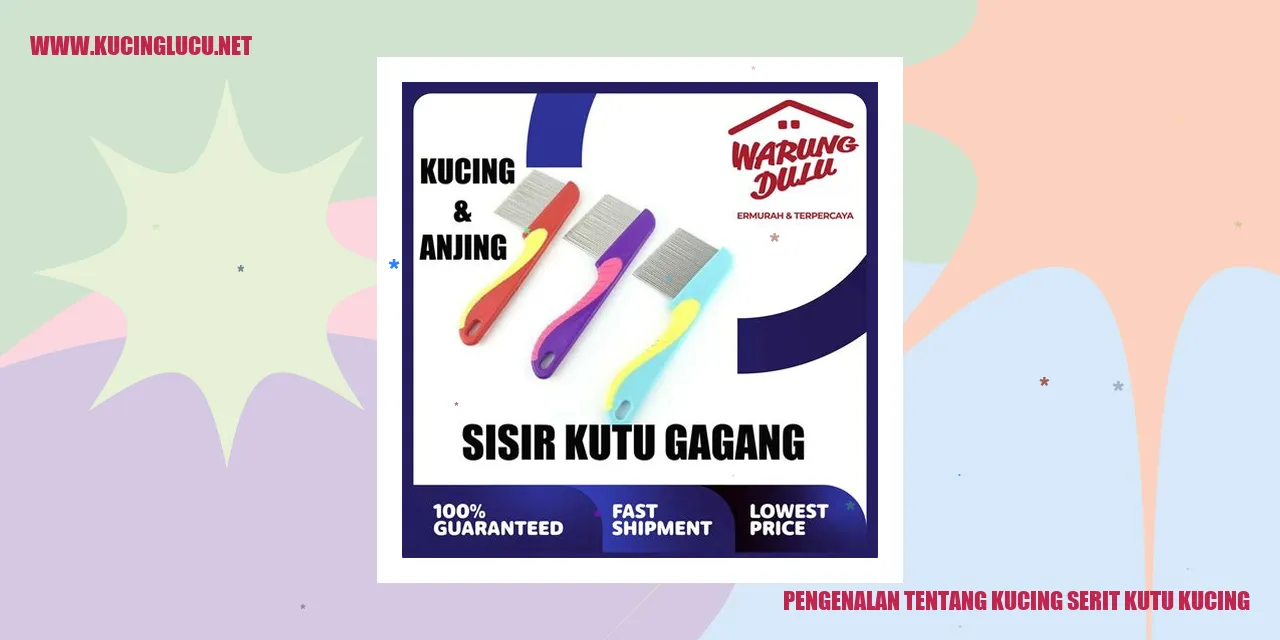 Gambar Kucing serit kutu kucing