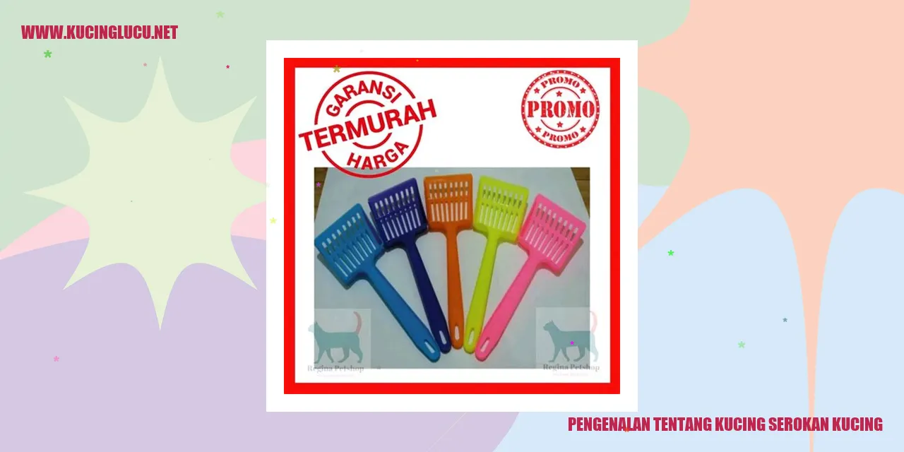 gambar kucing serokan