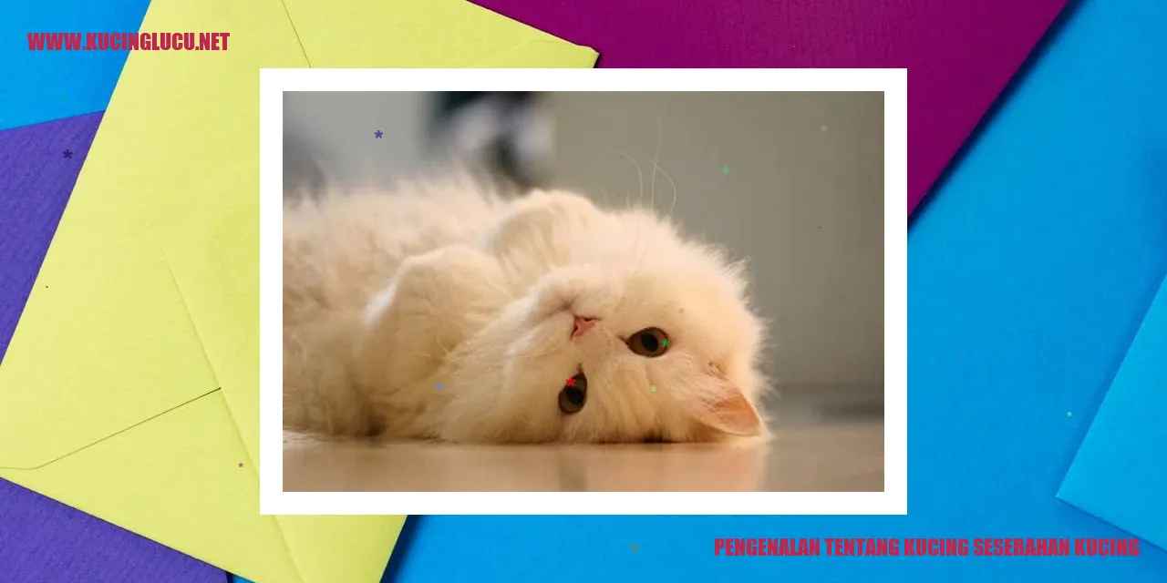 Gambar Kucing