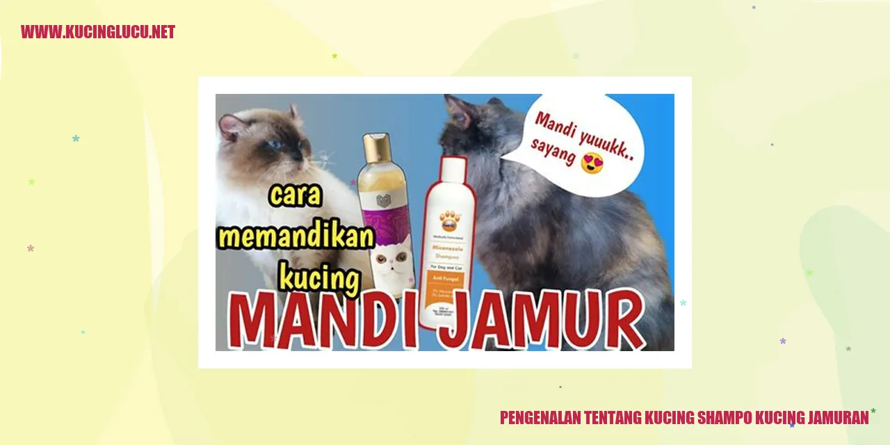 Gambar Kucing shampo kucing jamuran
