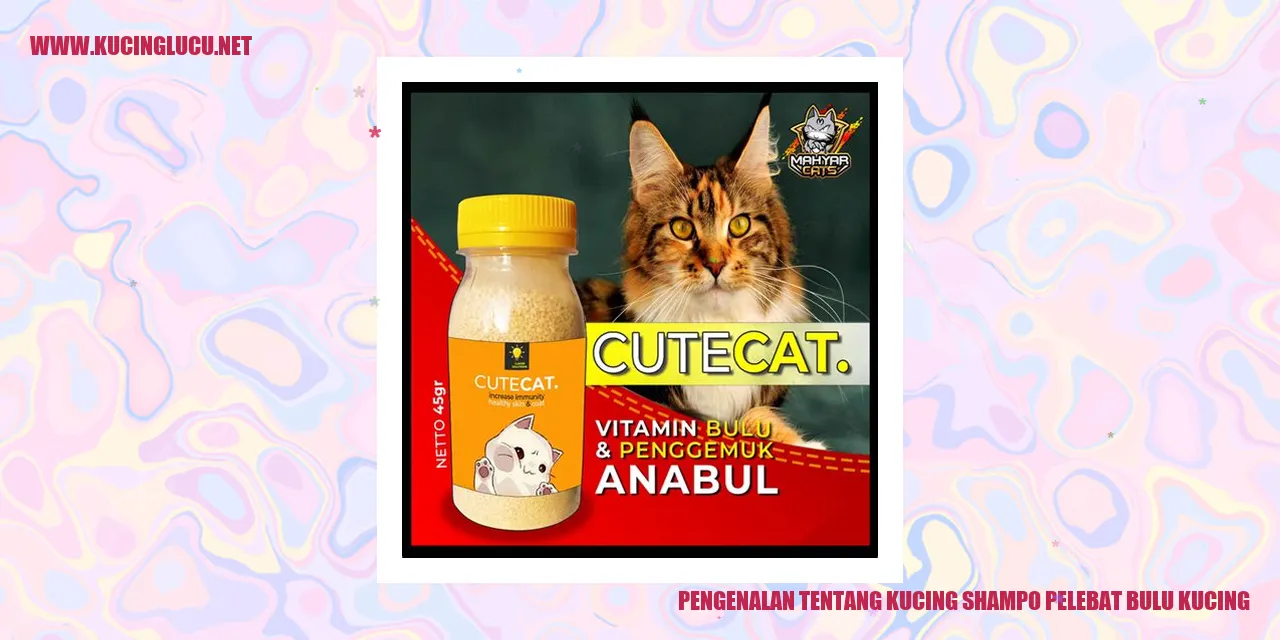 Gambar kucing dengan bulu yang lebat