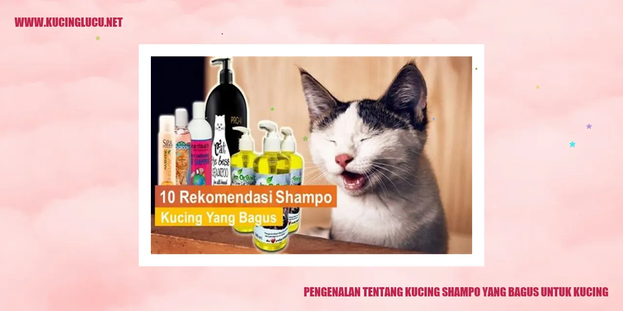 Kucing shampo yang bagus untuk Kucing