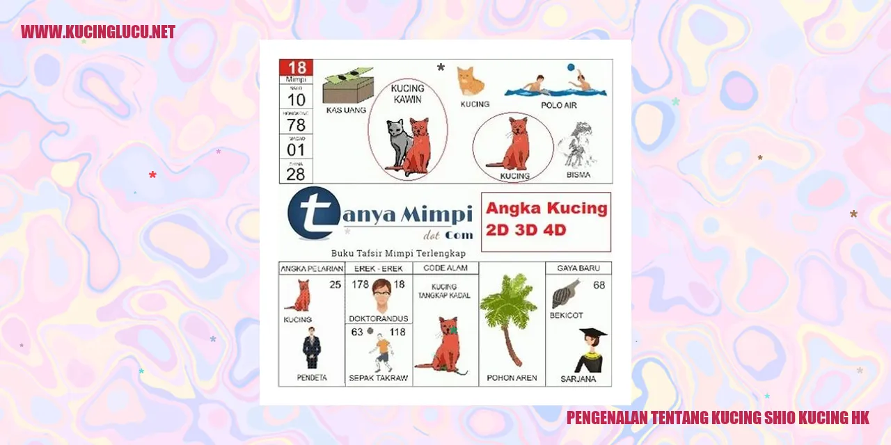 Kucing Shio