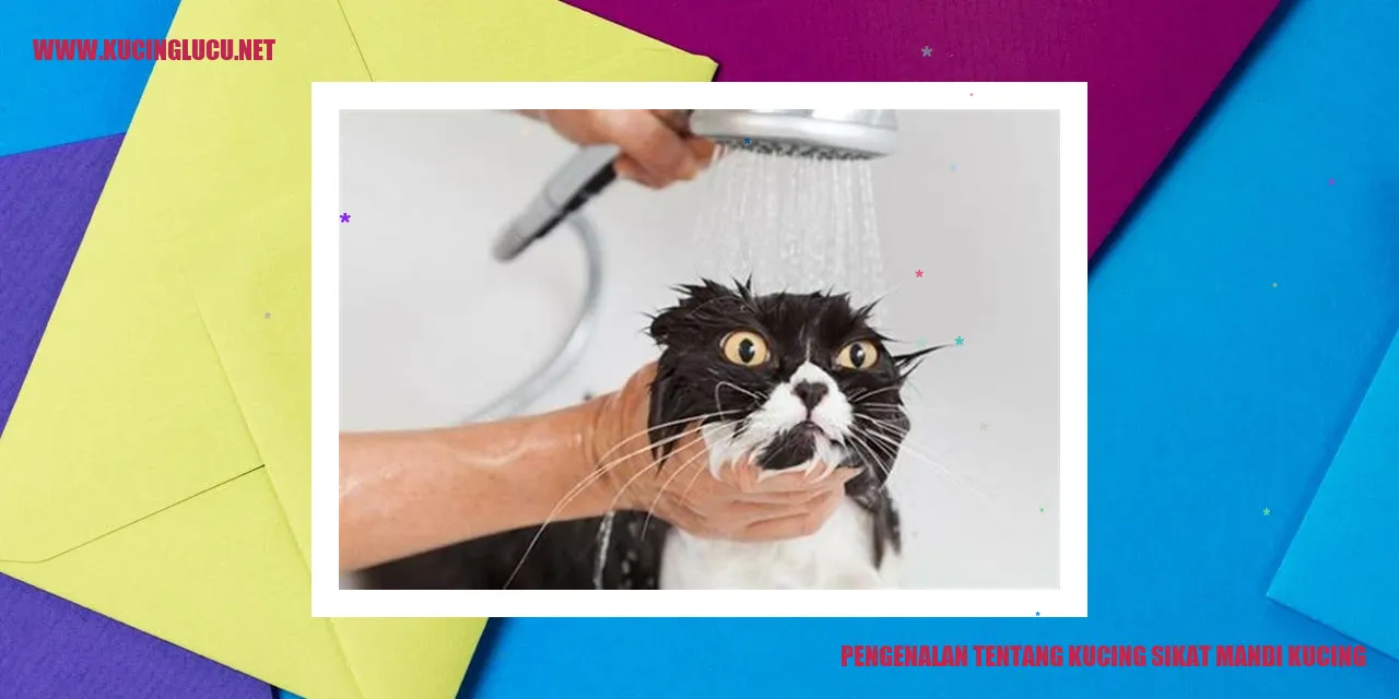 Kucing sikat mandi kucing