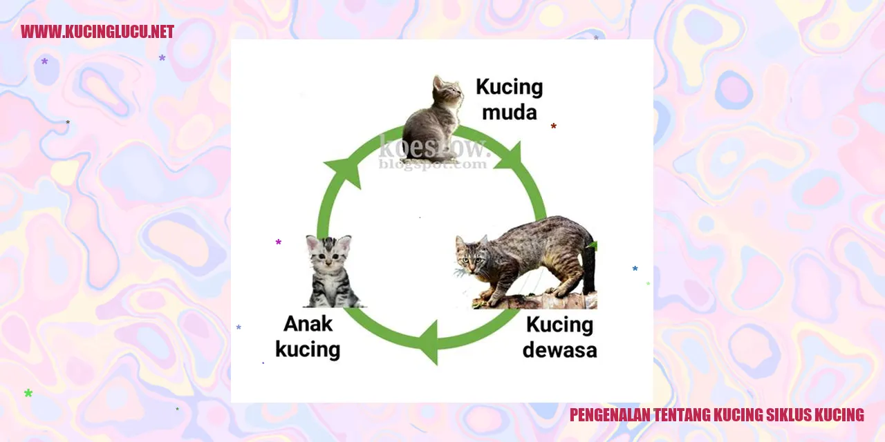 Ilustrasi Kucing