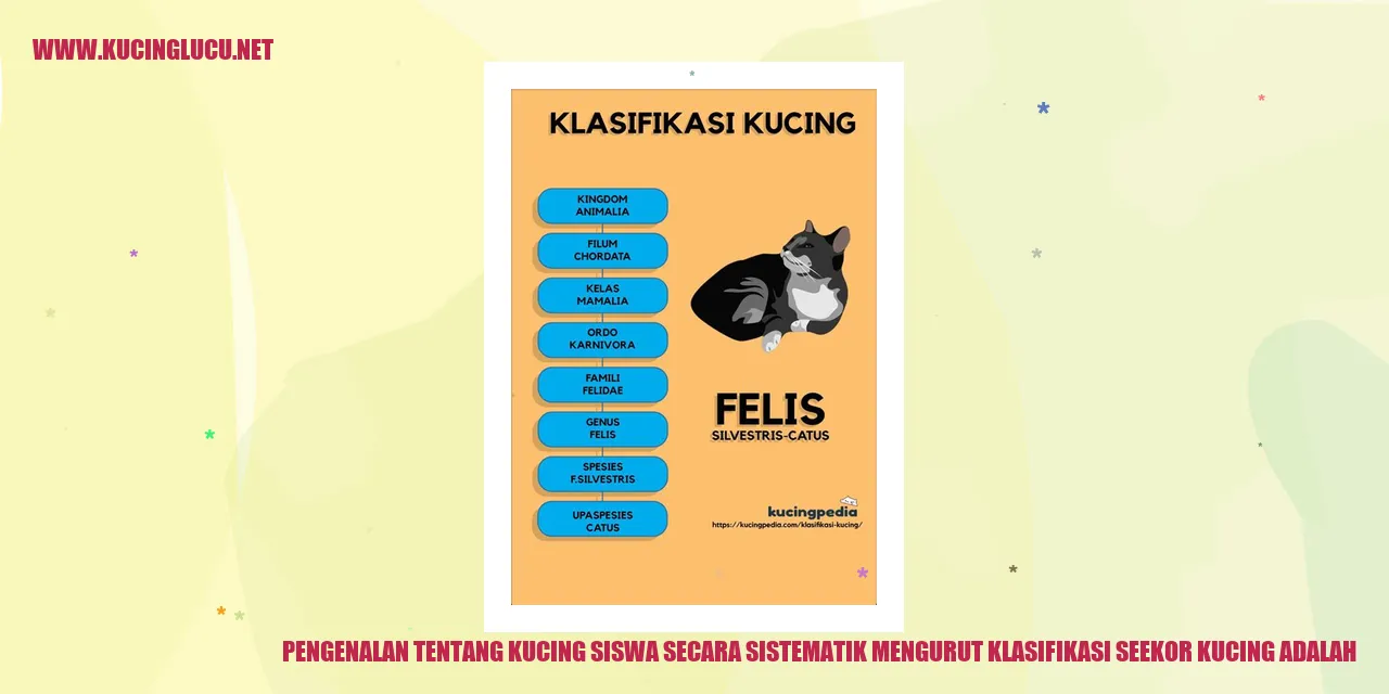 Gambar Seekor Kucing