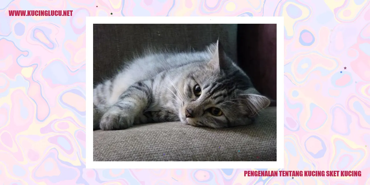 Gambar kucing