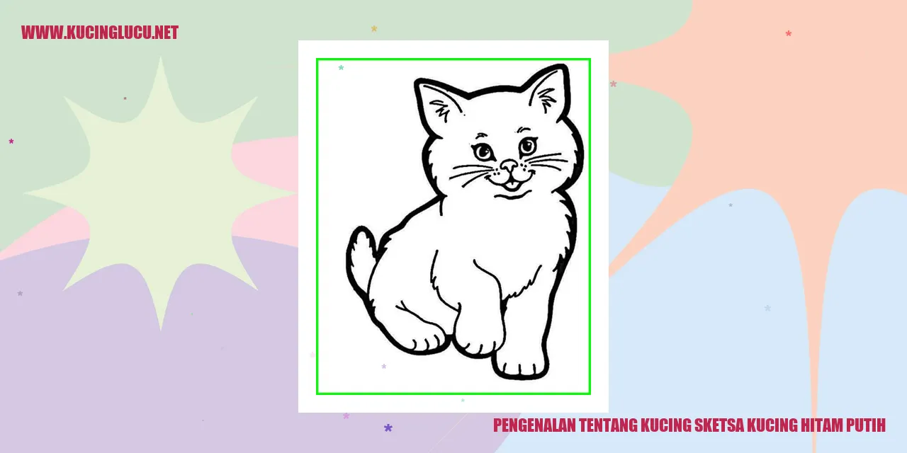 Kucing Sketsa Kucing Hitam Putih