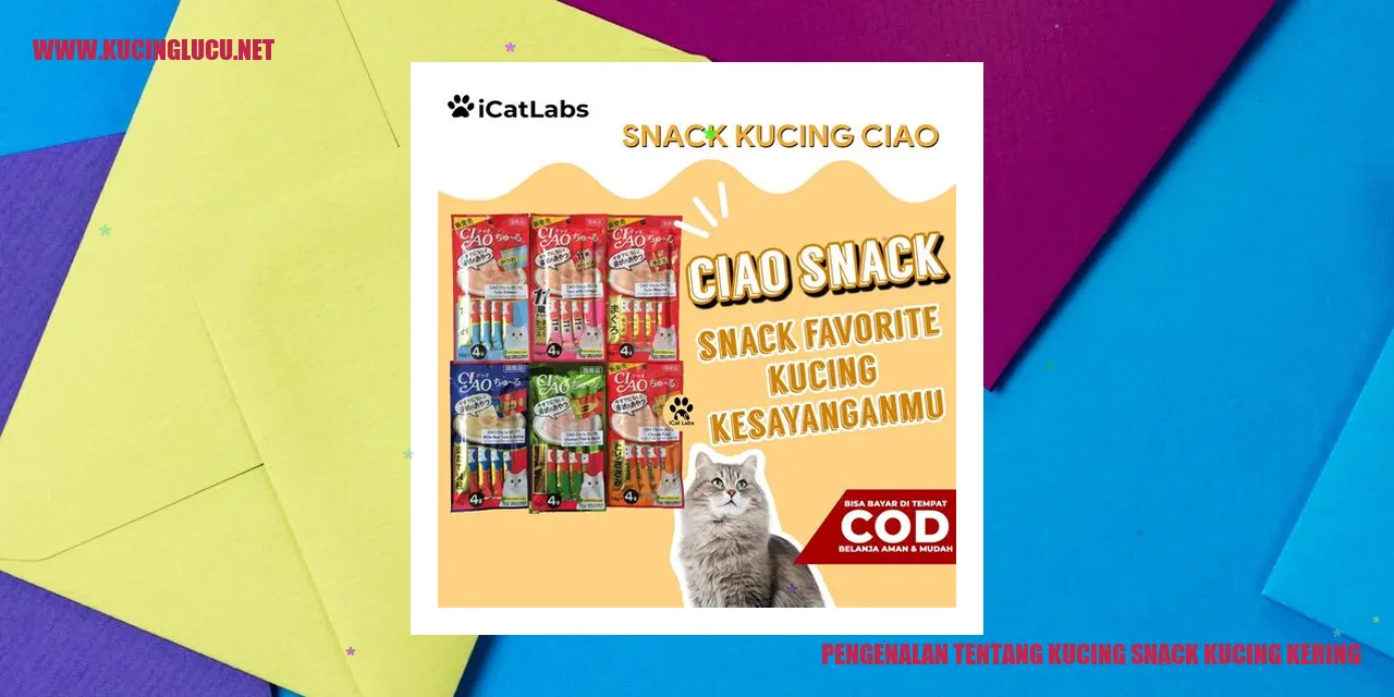 Gambar kucing snack kucing kering