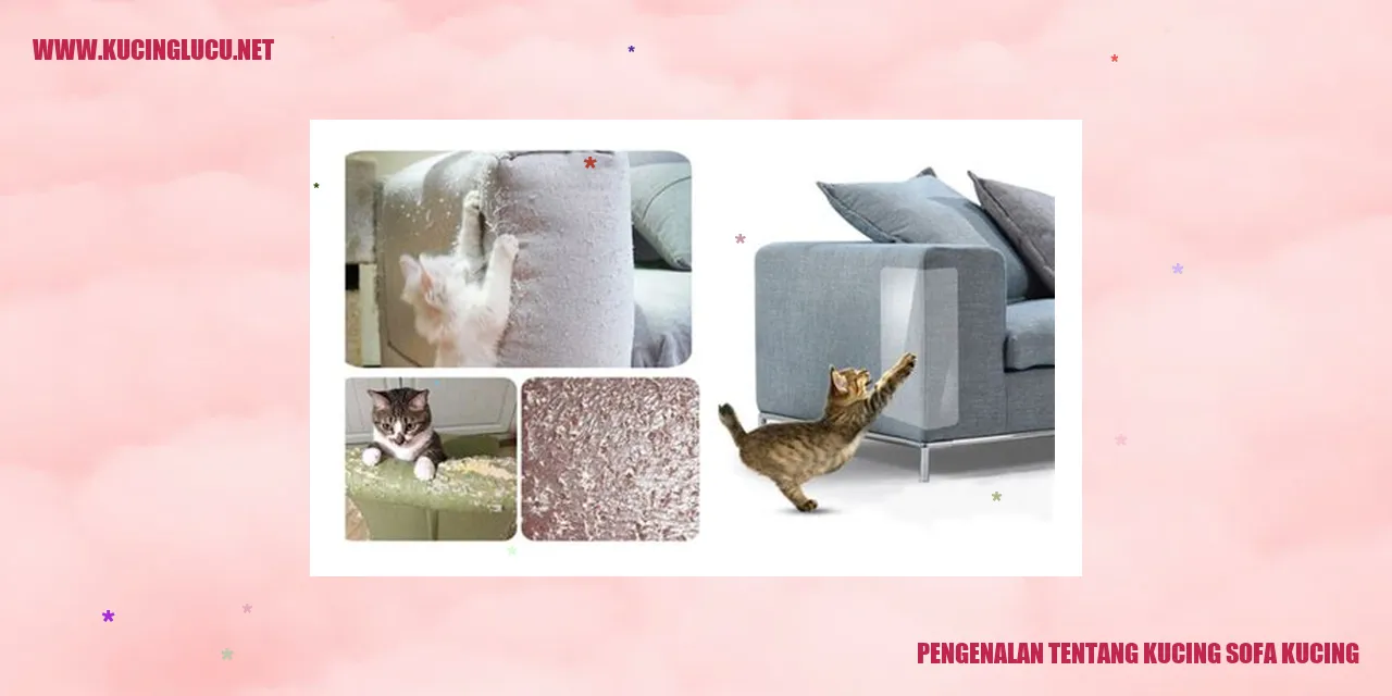 Gambar Kucing Sofa Kucing