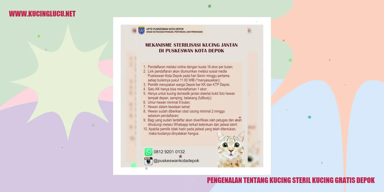 Pengenalan tentang Kucing steril kucing gratis depok