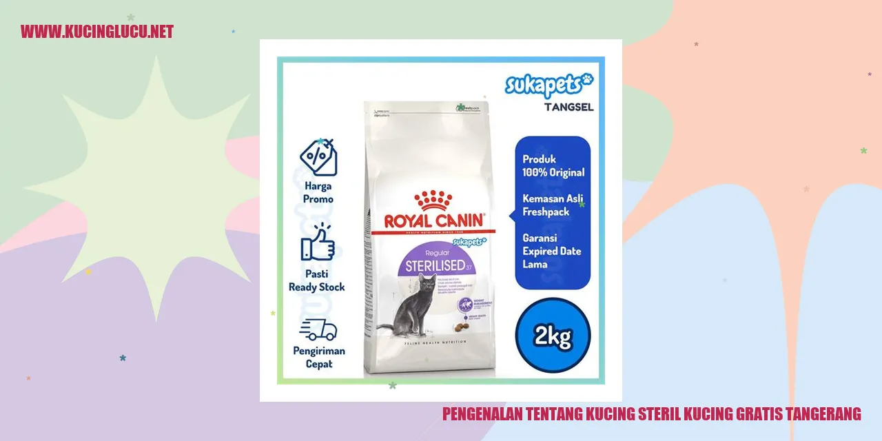 Kucing Steril Gratis di Tangerang