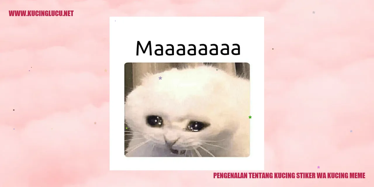 Kucing Stiker WA Kucing Meme