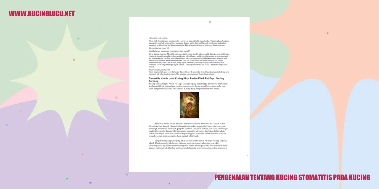Foto kucing mengalami stomatitis
