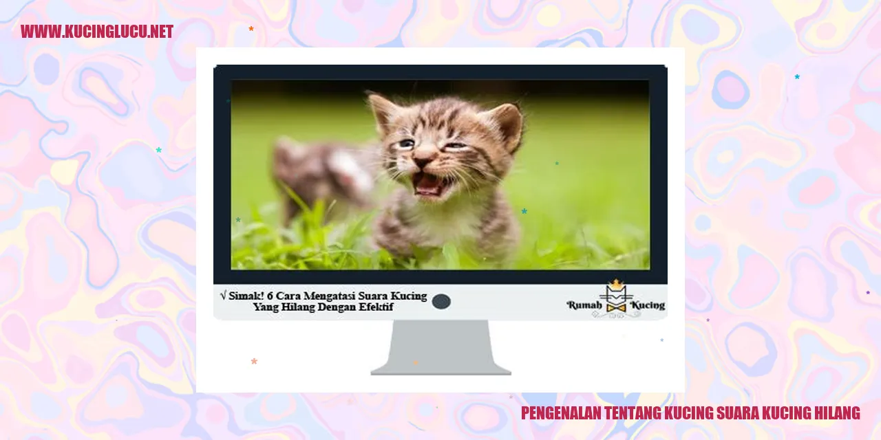 Suara Kucing Hilang