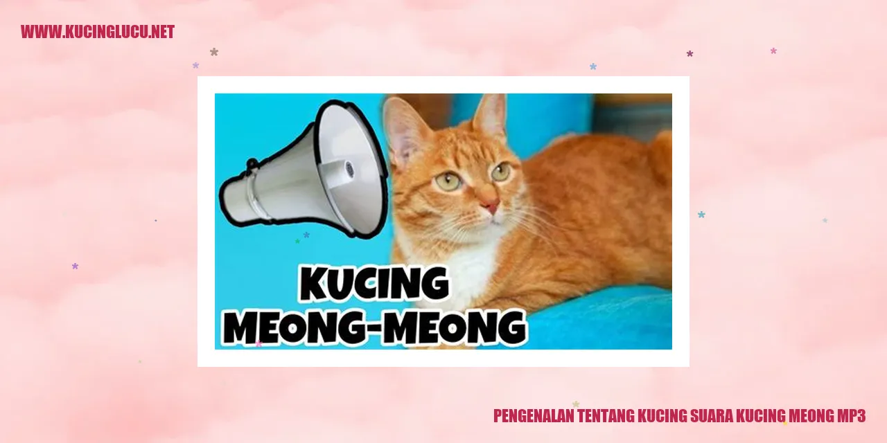 Gambar Kucing Suara Meong MP3