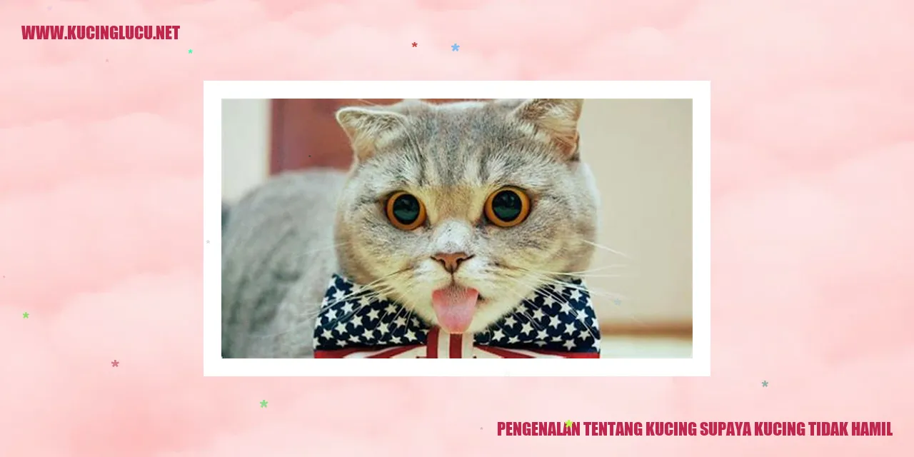 Bayi kucing yang menggemaskan