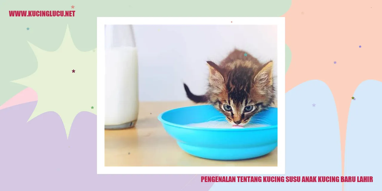 Anak Kucing Baru Lahir