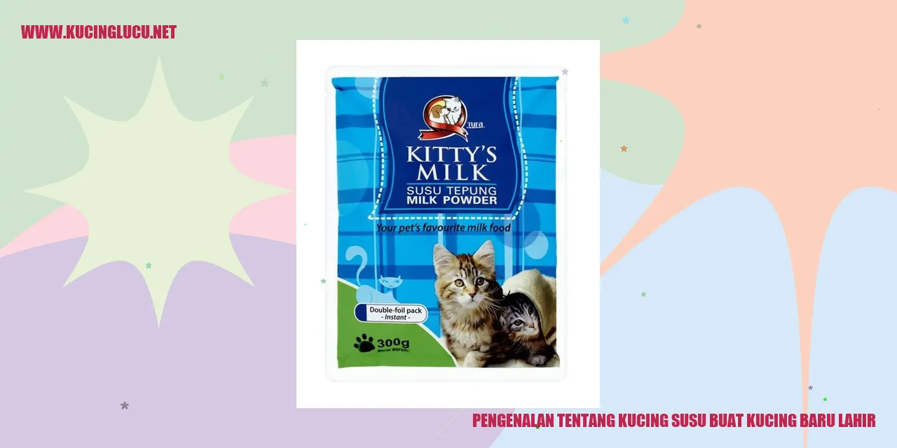 Gambar Kucing Baru Lahir
