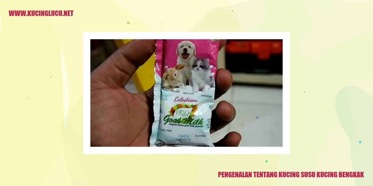 Kucing Susu Kucing Bengkak