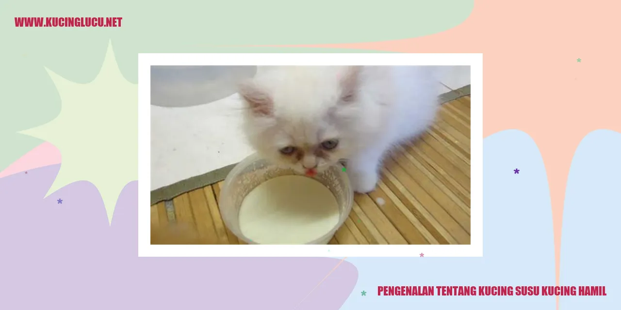 Kucing susu kucing hamil