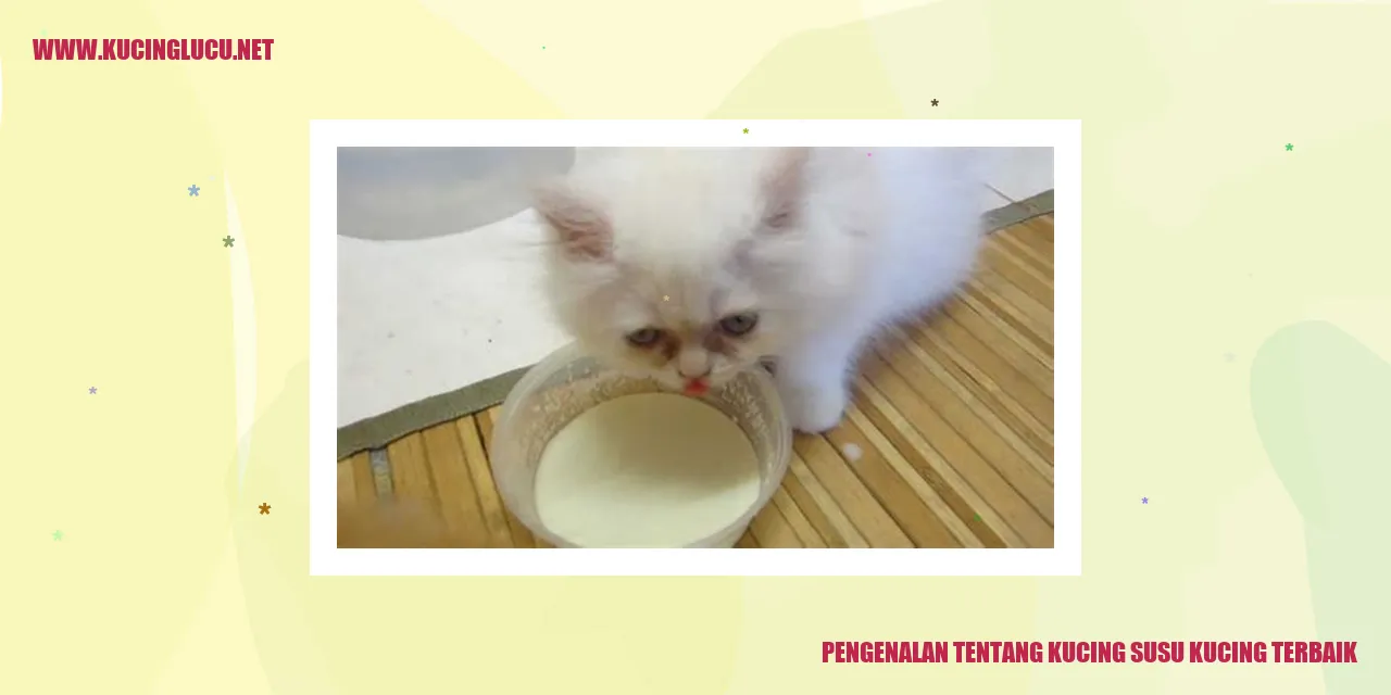 Kucing Susu Kucing Terbaik