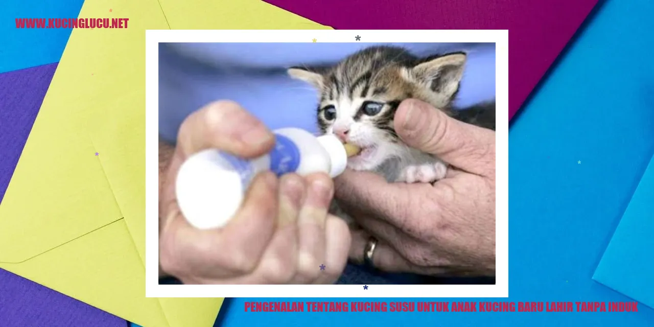 Gambar Kucing Susu