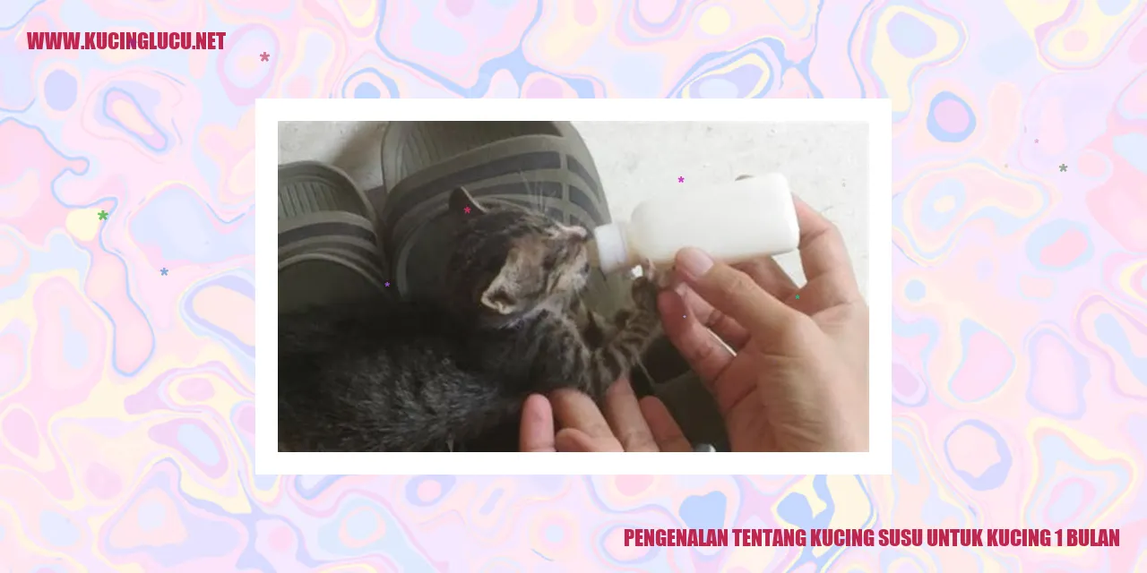 gambar kucing susu