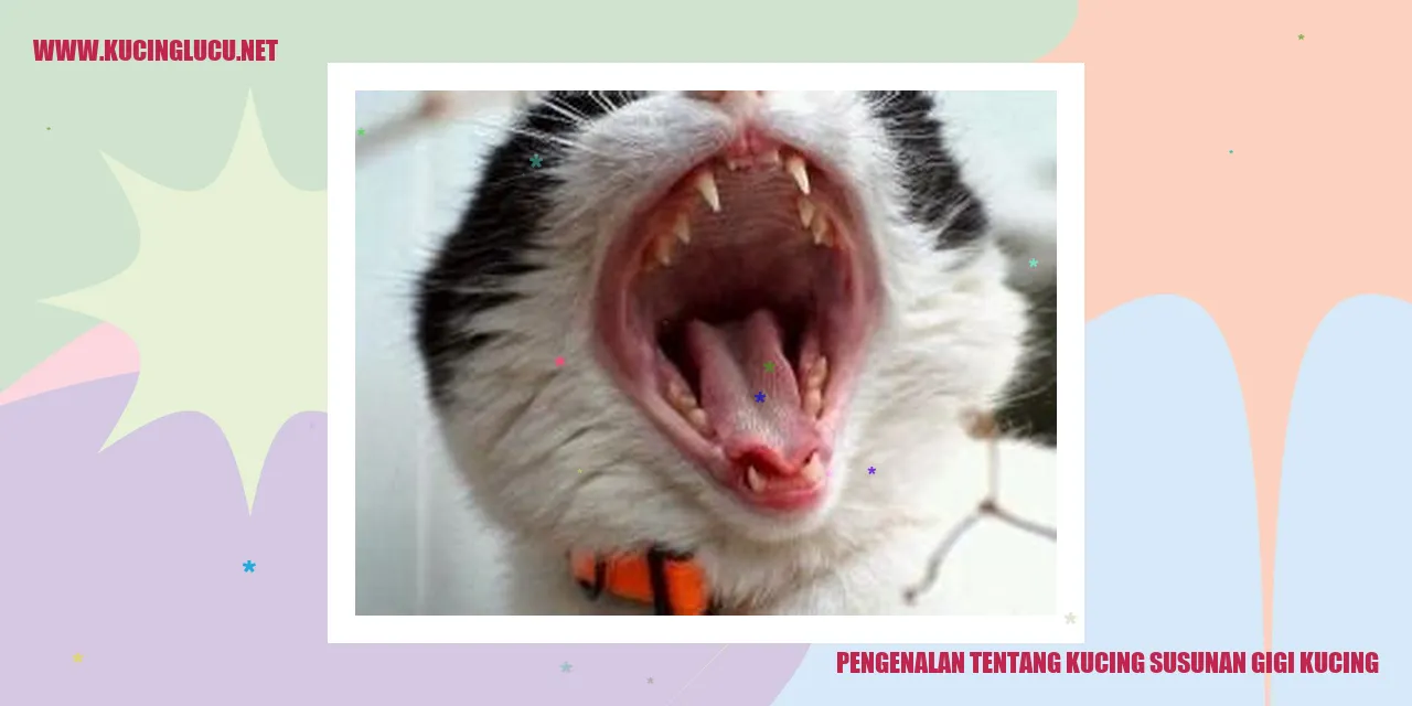 Gigi Kucing