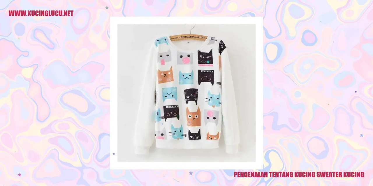 Kucing Sweater Kucing