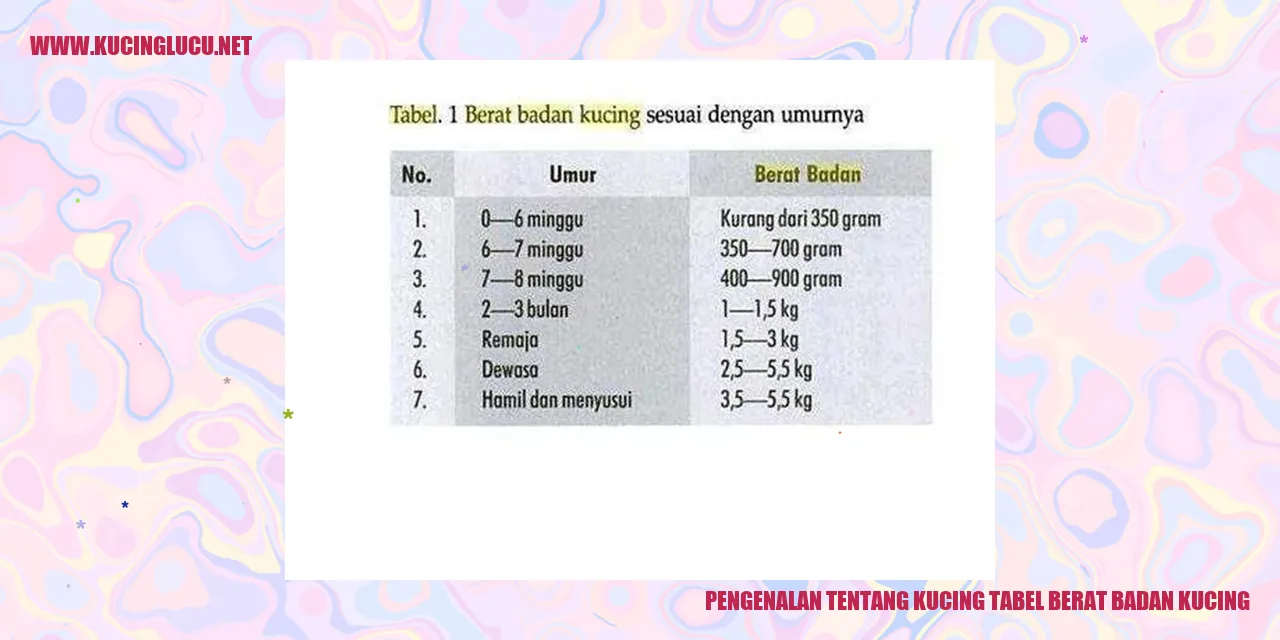 Gambar kucing menggemaskan
