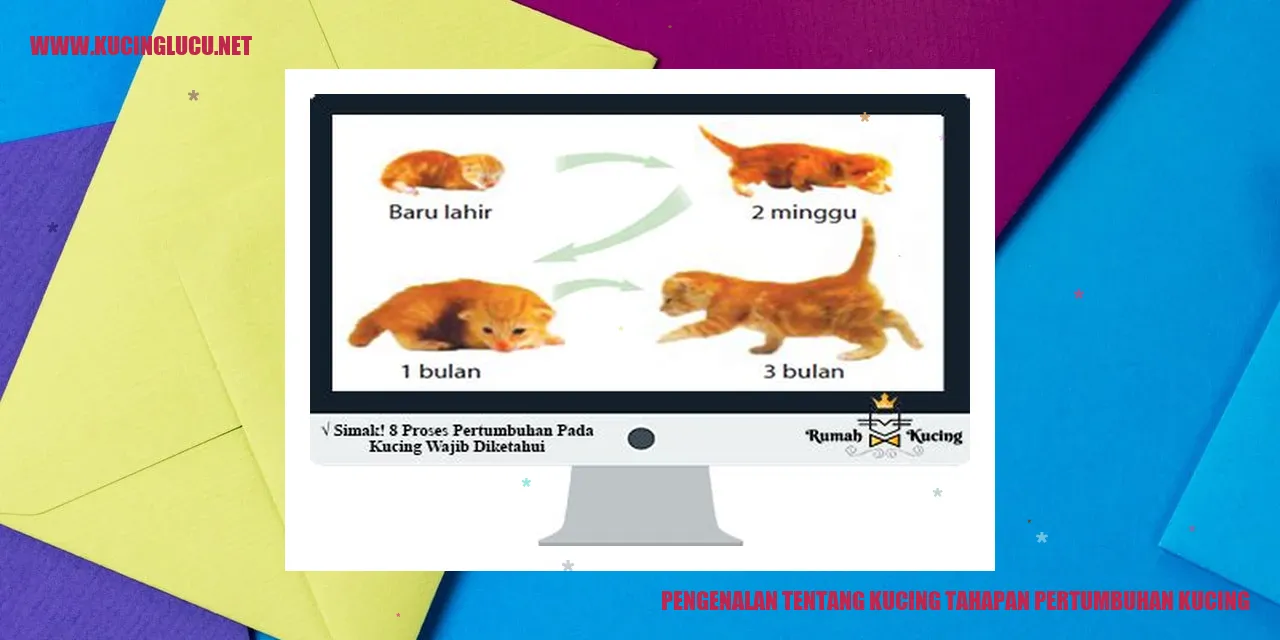 Kucing tahapan pertumbuhan kucing