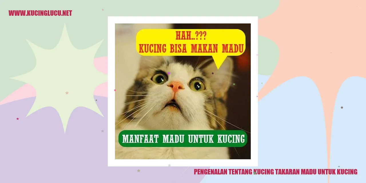 Madu untuk Kucing