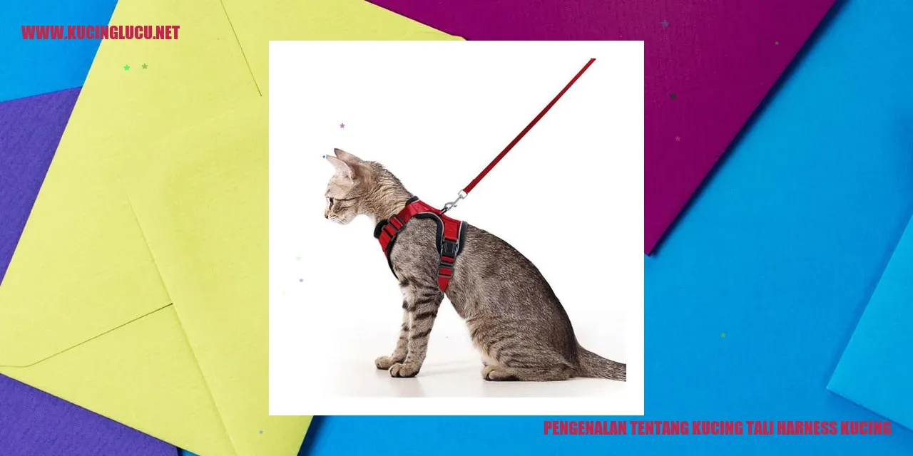 Gambar kucing menggunakan tali harness
