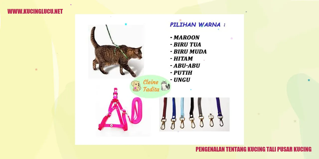 Kucing Tali Pusar Kucing