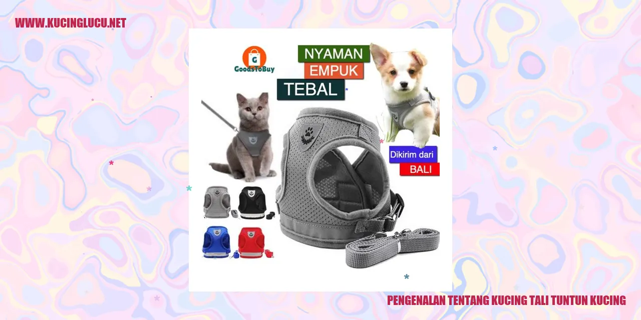 Gambar Kucing Tali Tuntun Kucing